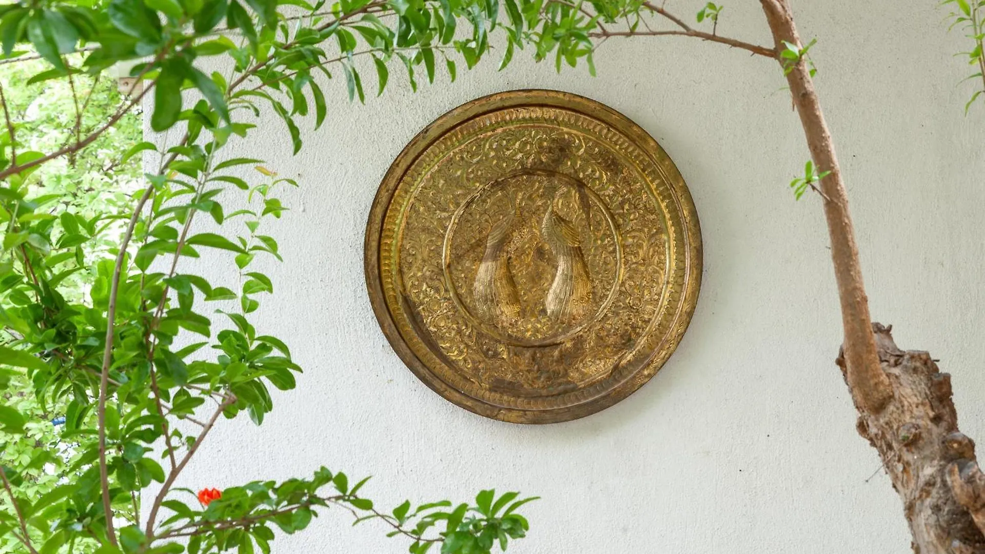 Néa Fókaia Stavros Summer House בית נופש